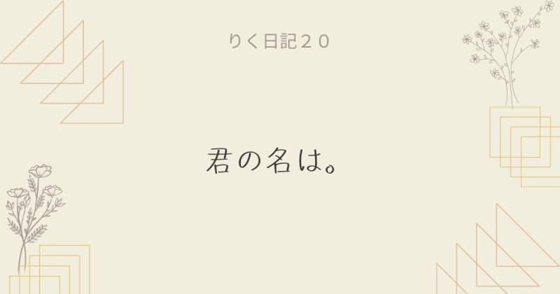 りく日記20 〜君の名は。〜