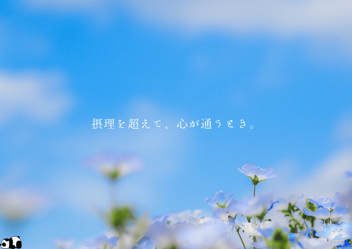 摂理を超えて、心が通うとき。
