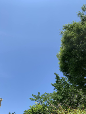 空ってなんで青いの？のコーナー！