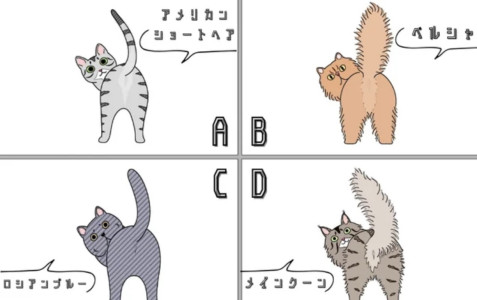 仁の心理テスト