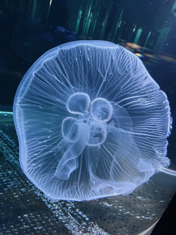 水族館