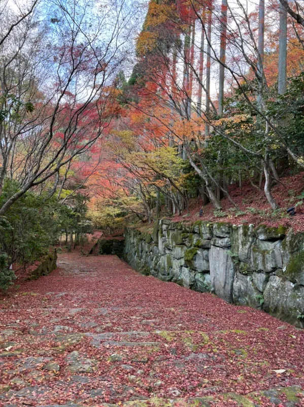 目標達成へ向かうに