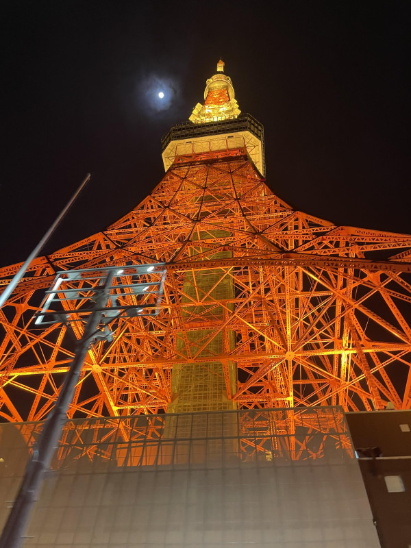 東京タワーが凄い！