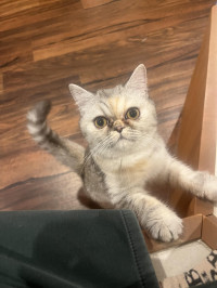 こんばんは〜