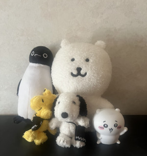 DOLLS