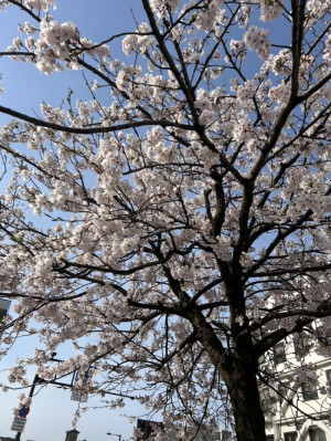 時が経つのが早いですね
