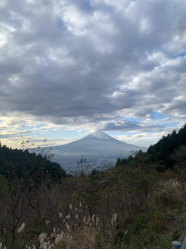 バタバタの毎日