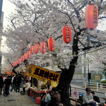 日常が戻って来た