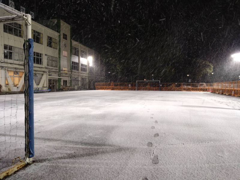 雪すごかったね