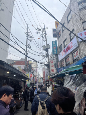 やっと韓国旅行らしく