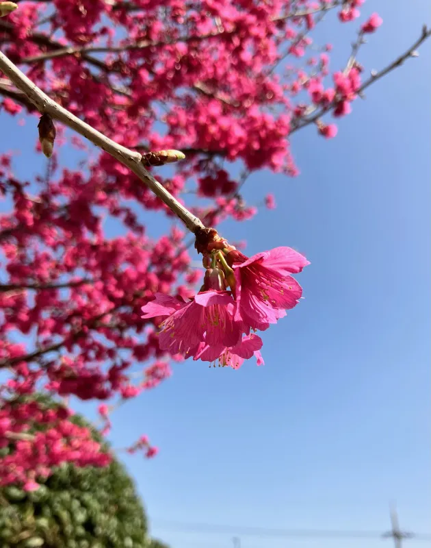 【最高の散歩日和☀︎】