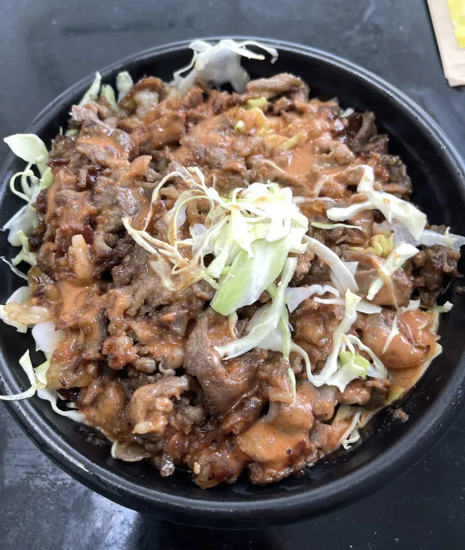 【ケバブ丼】