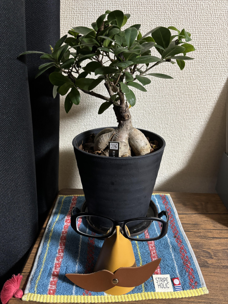 環境変化