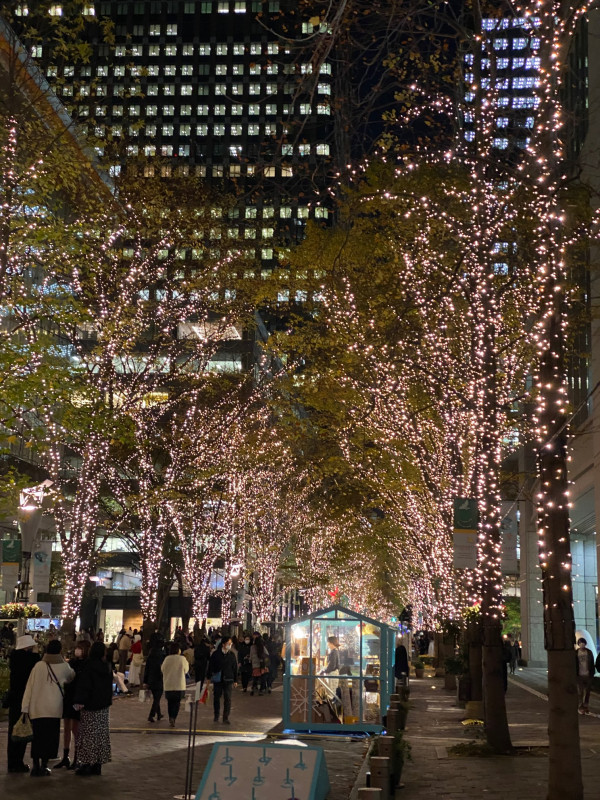 この時期の東京は久しぶり