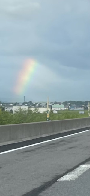 虹が出た、ただそれだけのことなのに。