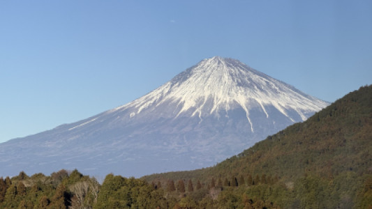 風邪治りました?