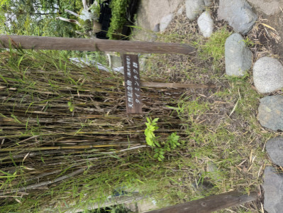 ありがとう！！！