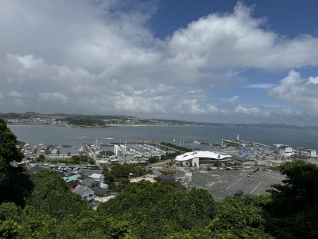 蒸してますね〜