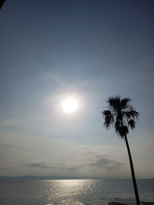 夏、、はじまります！