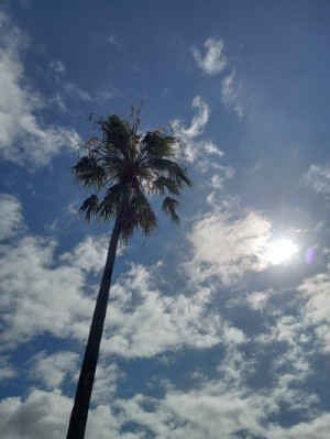 夏を楽しもう。。