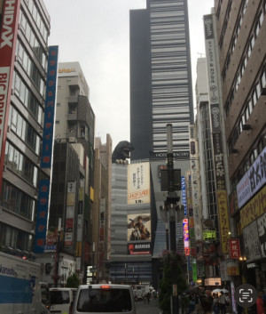 新宿来てます??