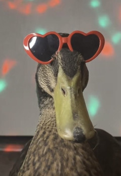 マジアホとは？