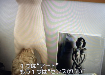 ポルノと芸術
