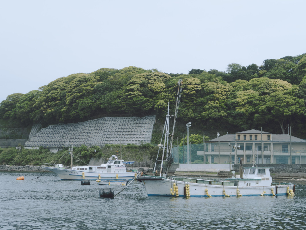 《釣り》