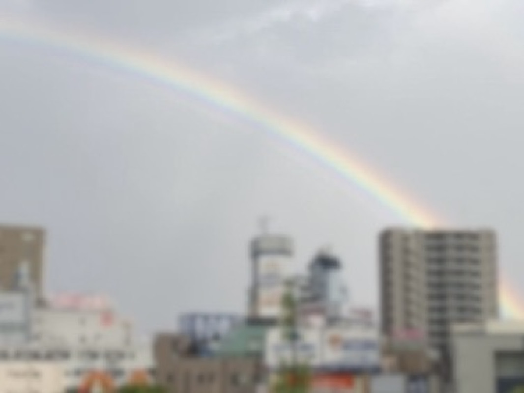 《 雨上がりの空に 》