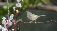 頂きを目指す日