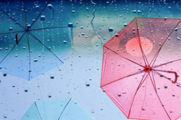 雨燦々