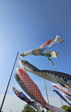 「こどもの日」