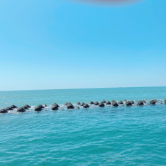4/24(木)