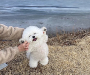 活動再開のお知らせ