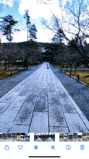 ご報告