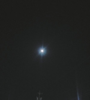 1月27日?