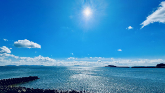 ふと1ヶ月が経って。。