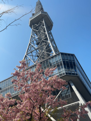 春はいつだって、当たり前のように迎えに来ると、そう思って