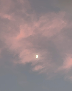 上弦の月　〜　弦月　ゆみはり