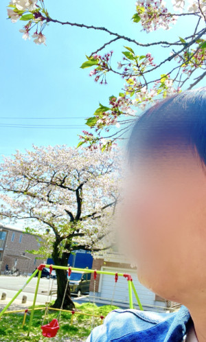 あの子を探しに?