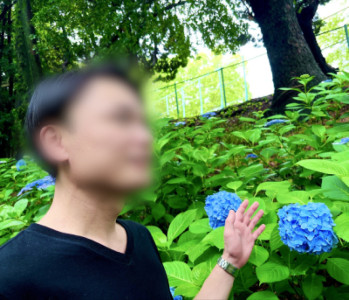 あじさい観るとなんでこんなことに?