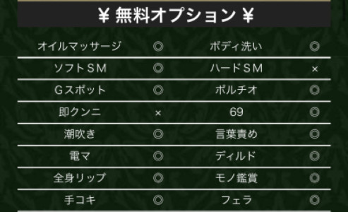 【無料オプションについて】