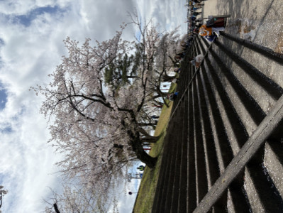 春のことば