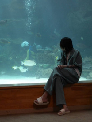 暑い夏の過ごし方