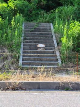 なかよし