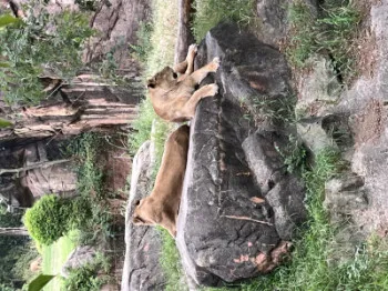 天王寺動物園