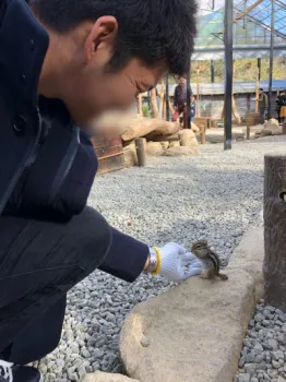 好きな動物