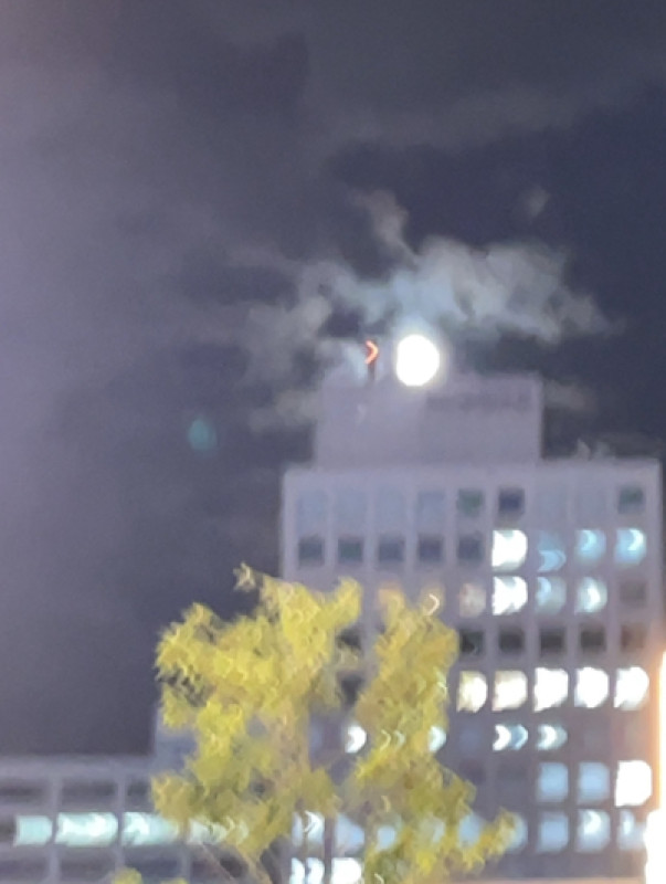 夜になったら