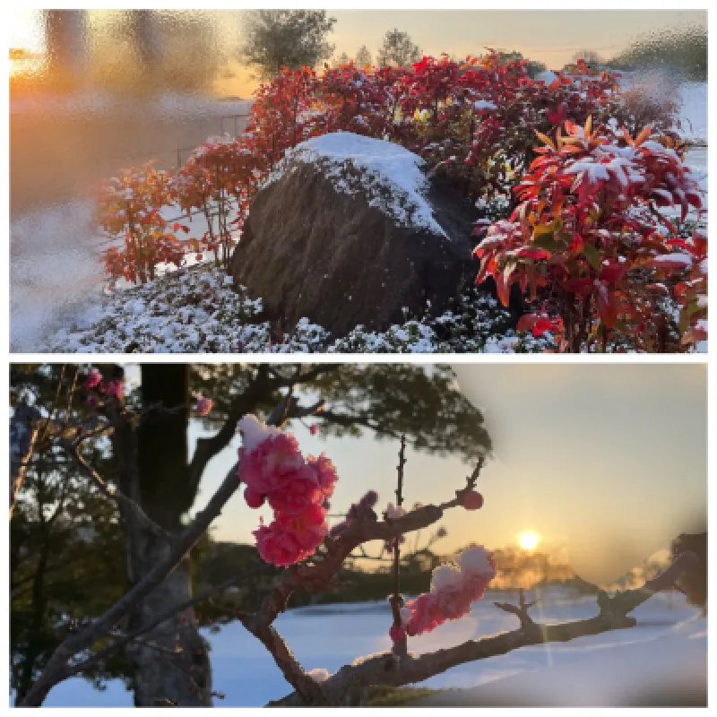 初出勤の朝の吉兆