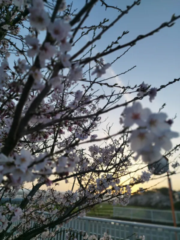 一日のはじまり